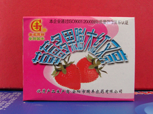 草莓多果膨大红又亮
