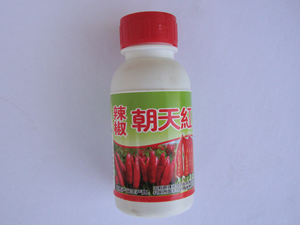 辣椒 朝天红